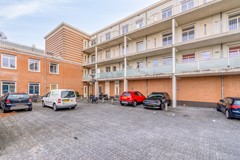 FREYJAPLANTSOEN 3-37.jpg